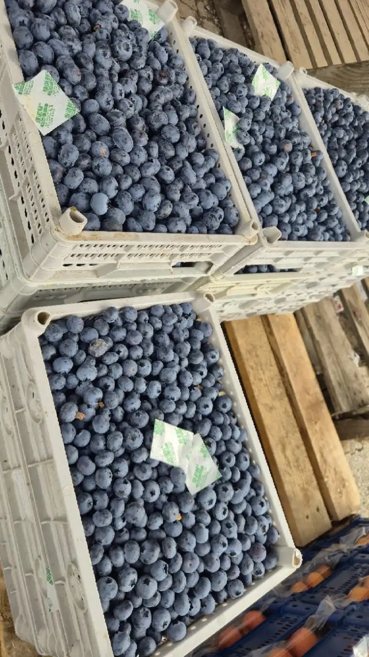 МЕГА-РАСПРОДАЖА В TOVARI5+ - Продукты питания (Для дома и дачи) в Ульяновск