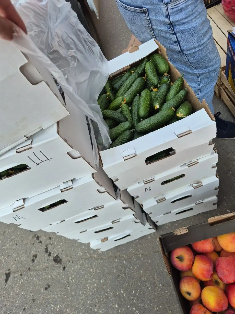 МЕГА-РАСПРОДАЖА В TOVARI5+ - Продукты питания (Для дома и дачи) в Ульяновск