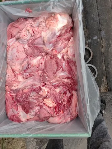 Возим мясо под заказ для людей и собак - Медицинские приборы в Ульяновск