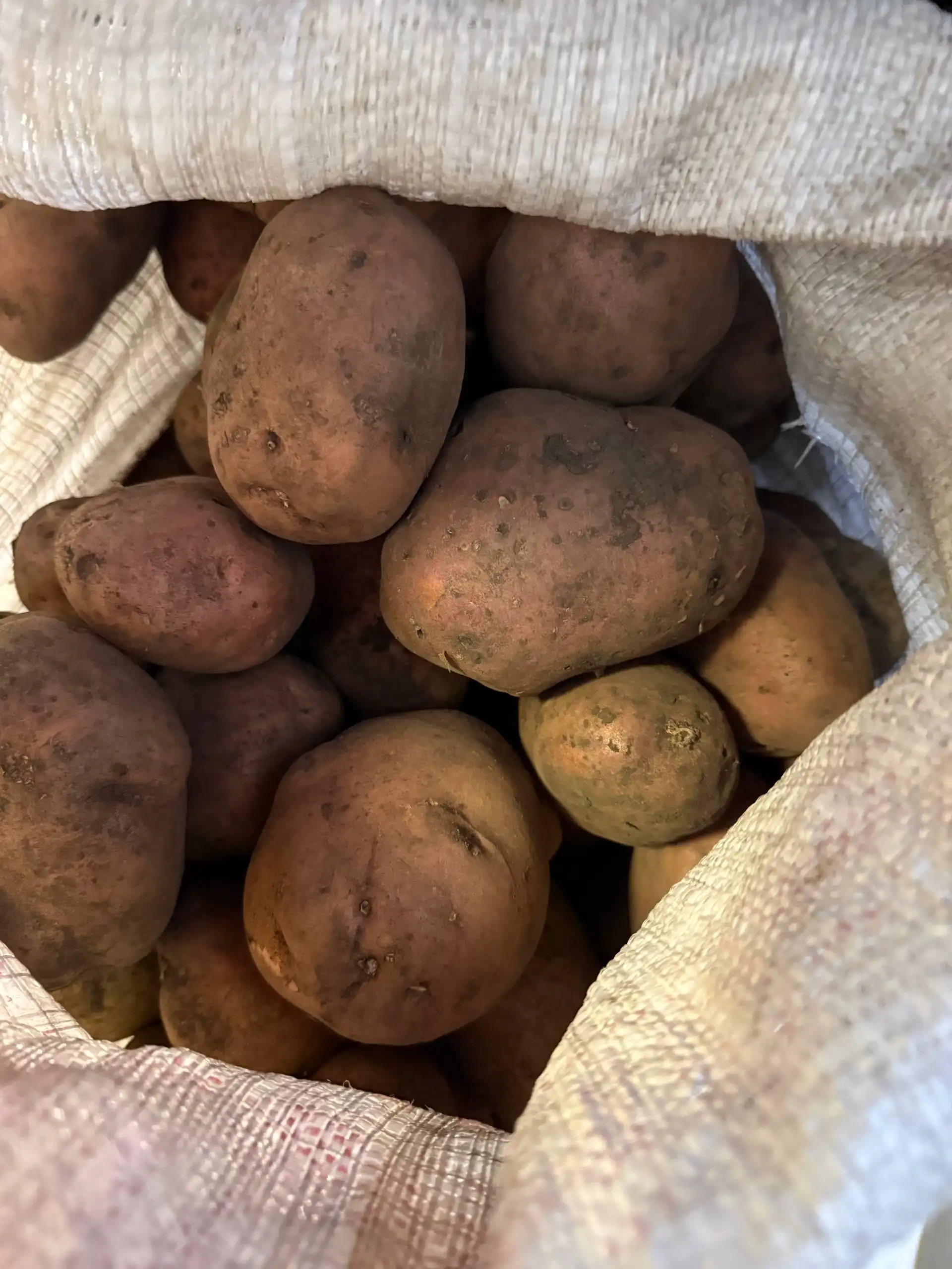 Домашняя картошка красная внутри желтая