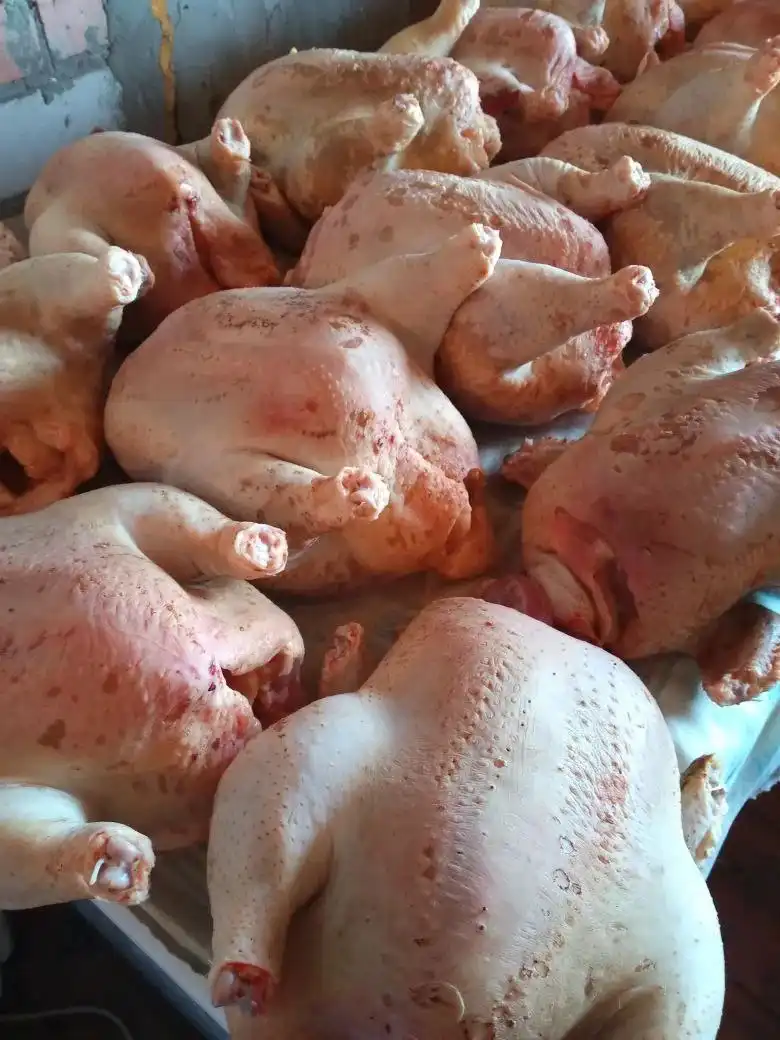 Продажа мяса домашнего бройлера и гусиного жира - Продукты питания (Барахолка) в Ульяновск