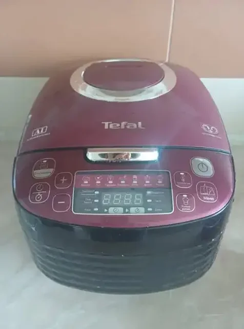 Отдам мультиварку TEFAL за бесплатно - Садовый декор в Екатеринбург