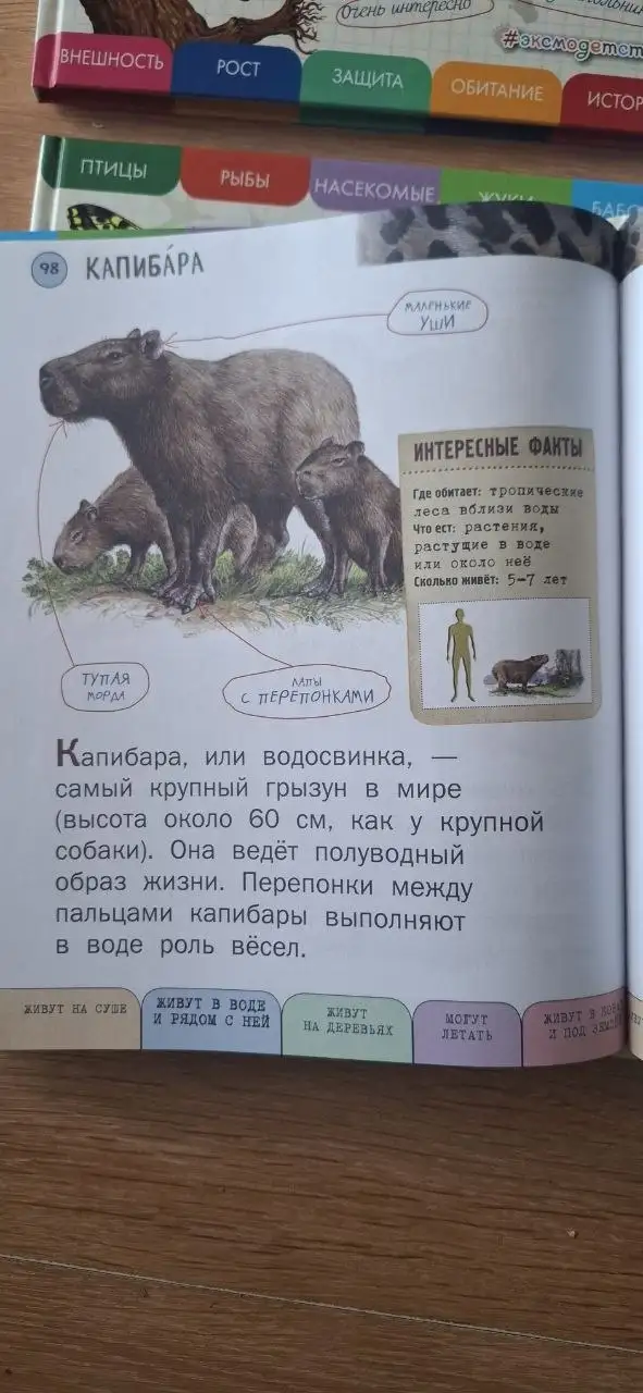 5 великолепных энциклопедий для детей - Книги (Товары для детей) в Екатеринбург