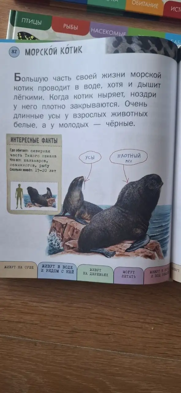 5 великолепных энциклопедий для детей - Книги (Товары для детей) в Екатеринбург