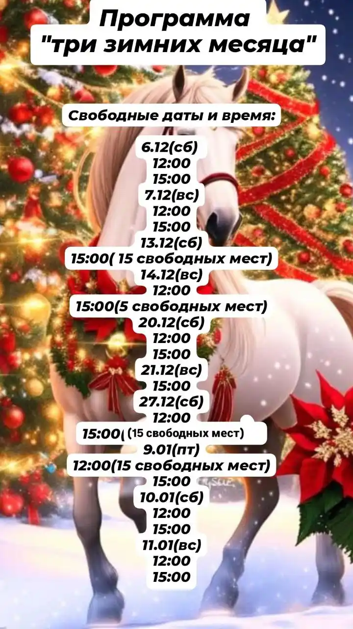 Новогодняя программа "ТРИ ЗИМНИХ МЕСЯЦА" на мини ферме "Копытом по душе"