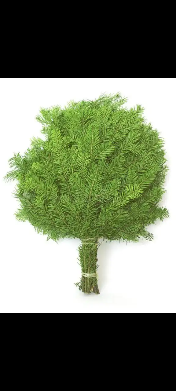 Пихтовые веники для бани