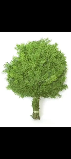 Пихтовые веники для бани - Хобби и отдых в Екатеринбург