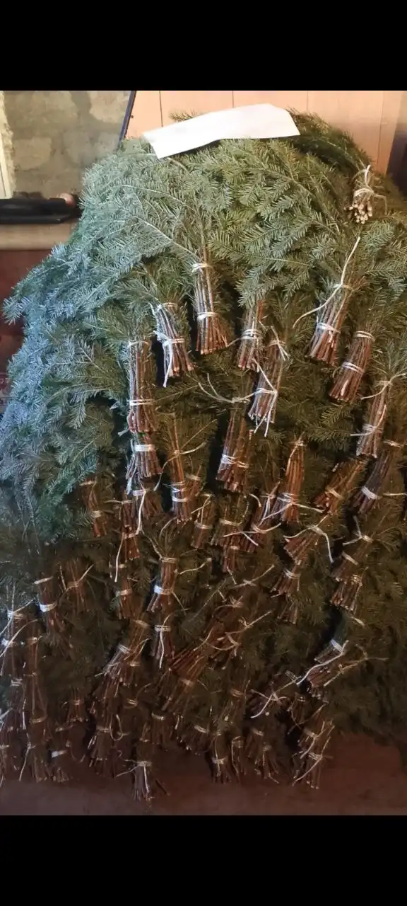 Пихтовые веники для бани