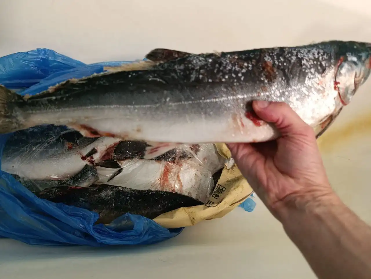 Продажа замороженной рыбы и сырных палочек в Екатеринбурге