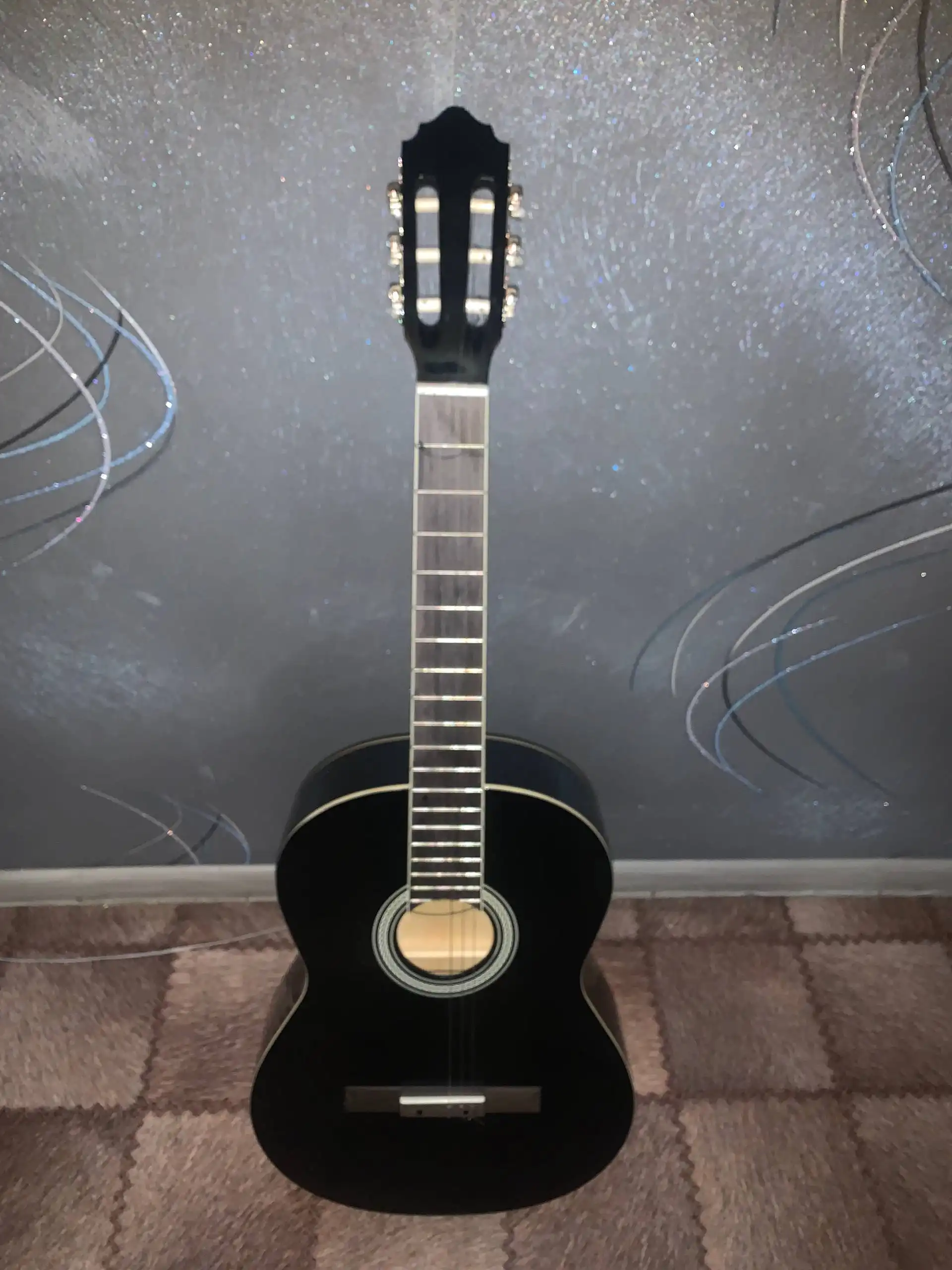 Гитара с зимним чехлом