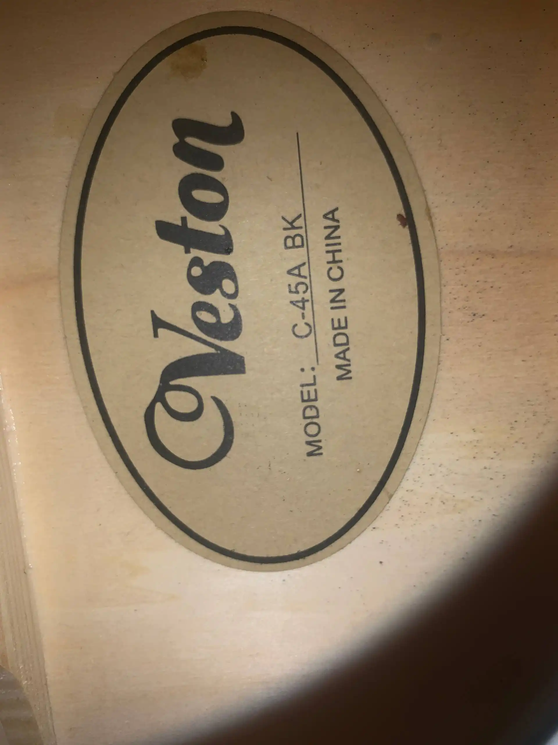 Гитара с зимним чехлом