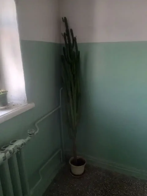 Продам диван, кресло и кровать - Барахолка в Екатеринбург