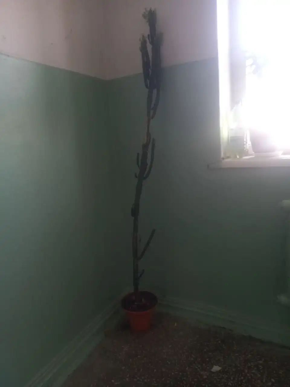 Продам диван, кресло и кровать - Мебель (Барахолка) в Екатеринбург