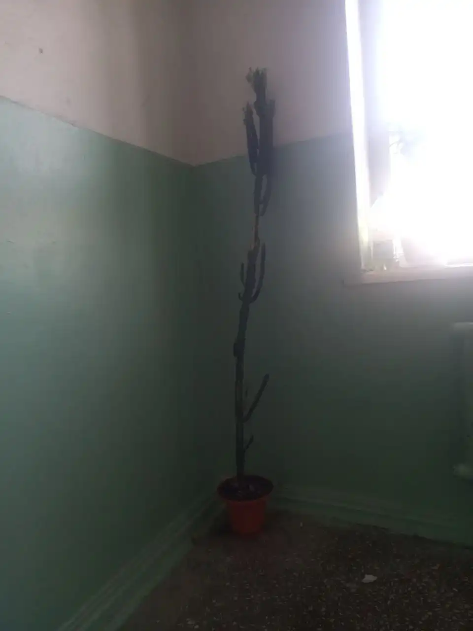 Продам диван, кресло и кровать - Мебель (Барахолка) в Екатеринбург