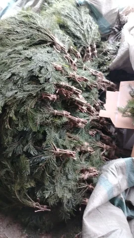 Продам пихтовые веники - Интерьерные аксессуары в Екатеринбург