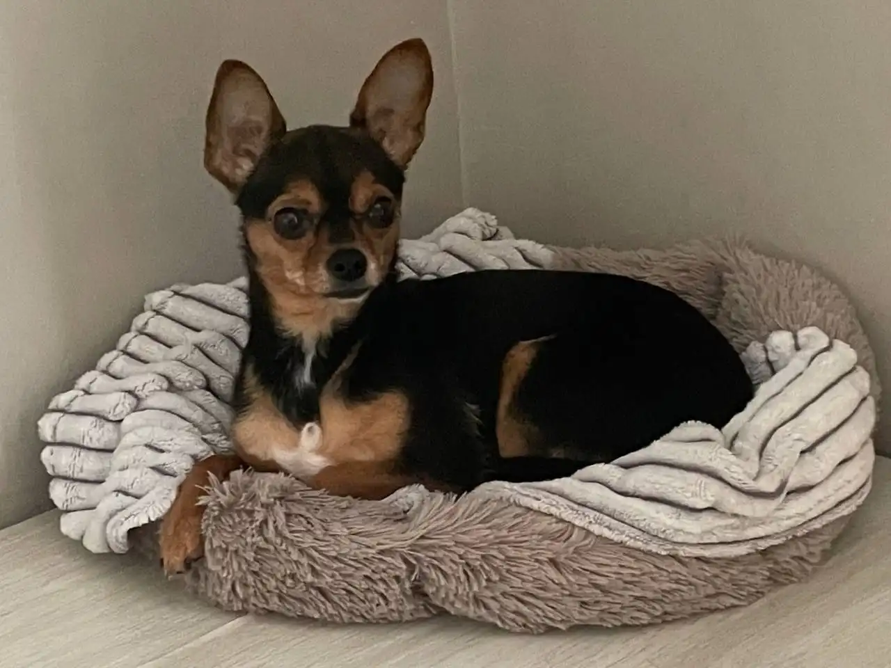 Продажа товара в Екатеринбурге - Барахолка в Екатеринбург