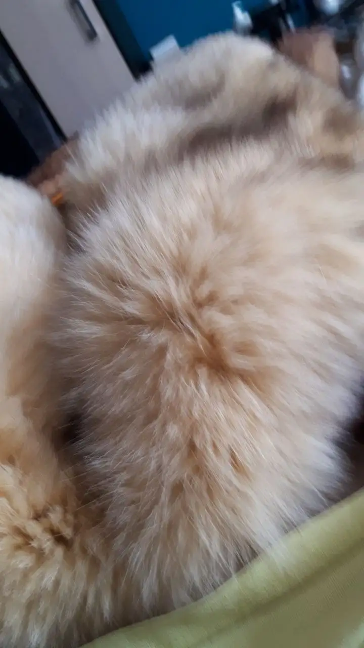 Шуба из вязаной норки, размер 42-48 - Верхняя одежда (Одежда) в Екатеринбург