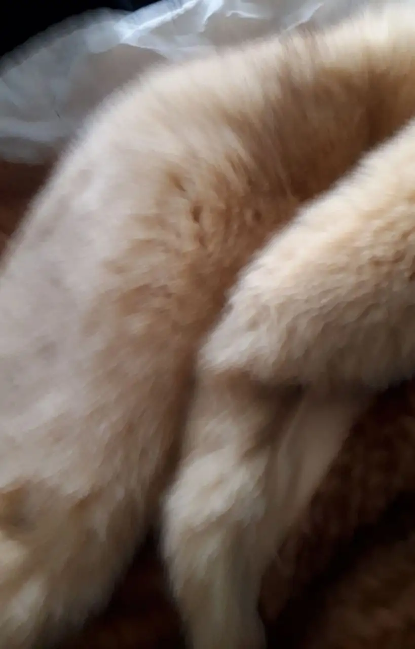 Шуба из вязаной норки, размер 42-48 - Верхняя одежда (Одежда) в Екатеринбург