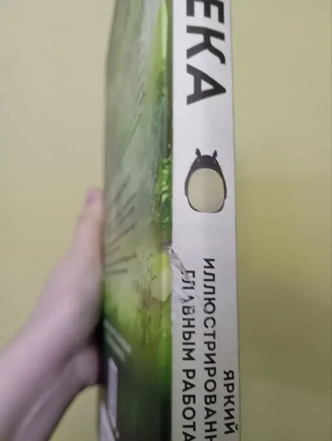 Продажа книги по Хаяо Миядзаки - Коллекционные модели в Екатеринбург