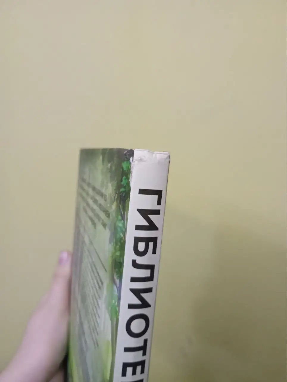 Продажа книги по Хаяо Миядзаки - Книги (Хобби и отдых) в Екатеринбург