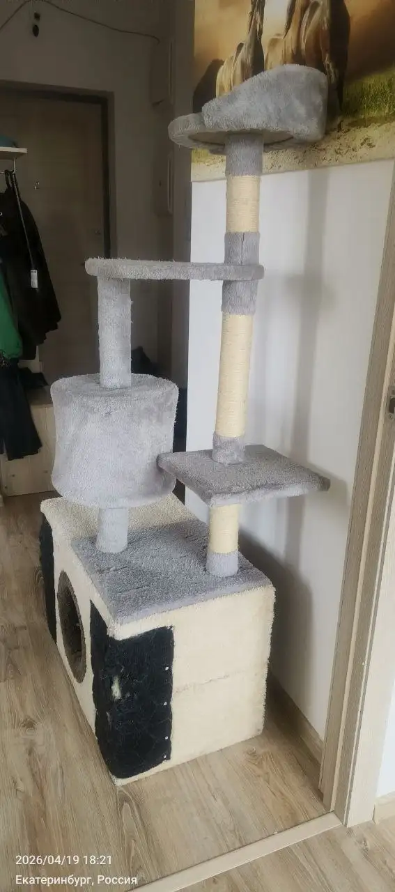 Продам домик-когтеточку для кошки - Животные в Екатеринбург