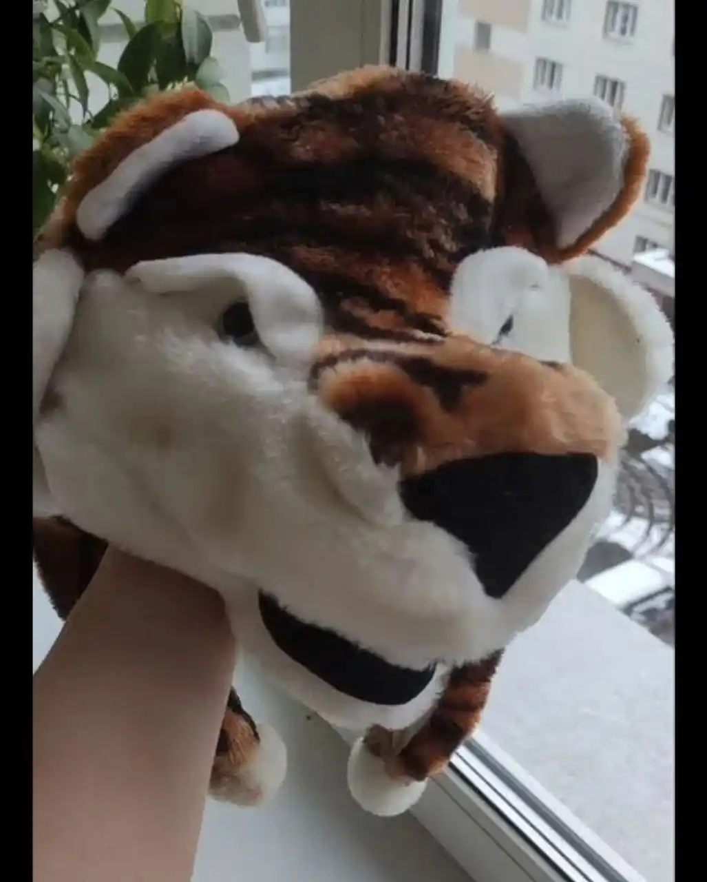 Аренда карнавальных костюмов