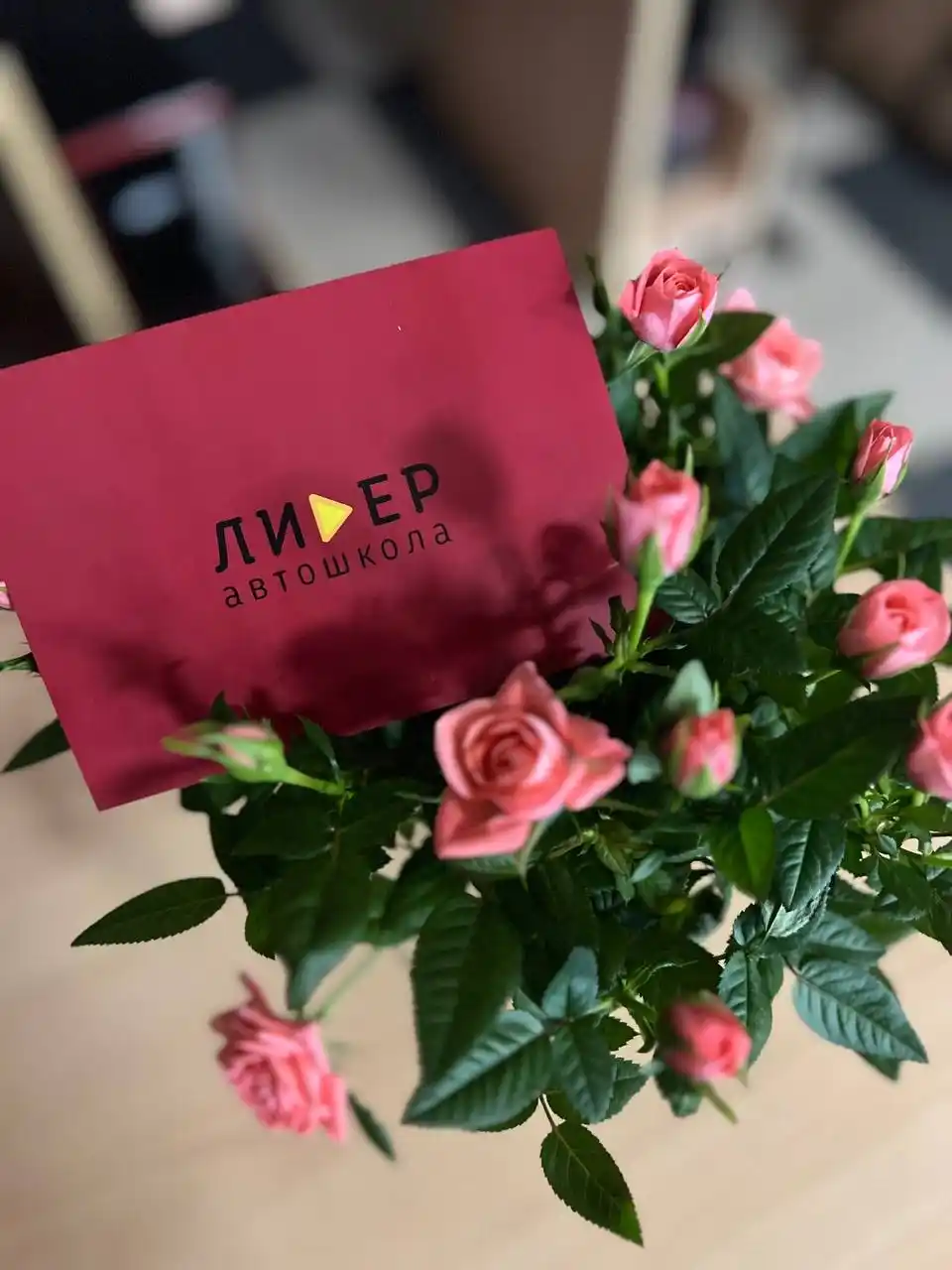 Сертификат на обучение в автошколе - Услуги в Самарская область