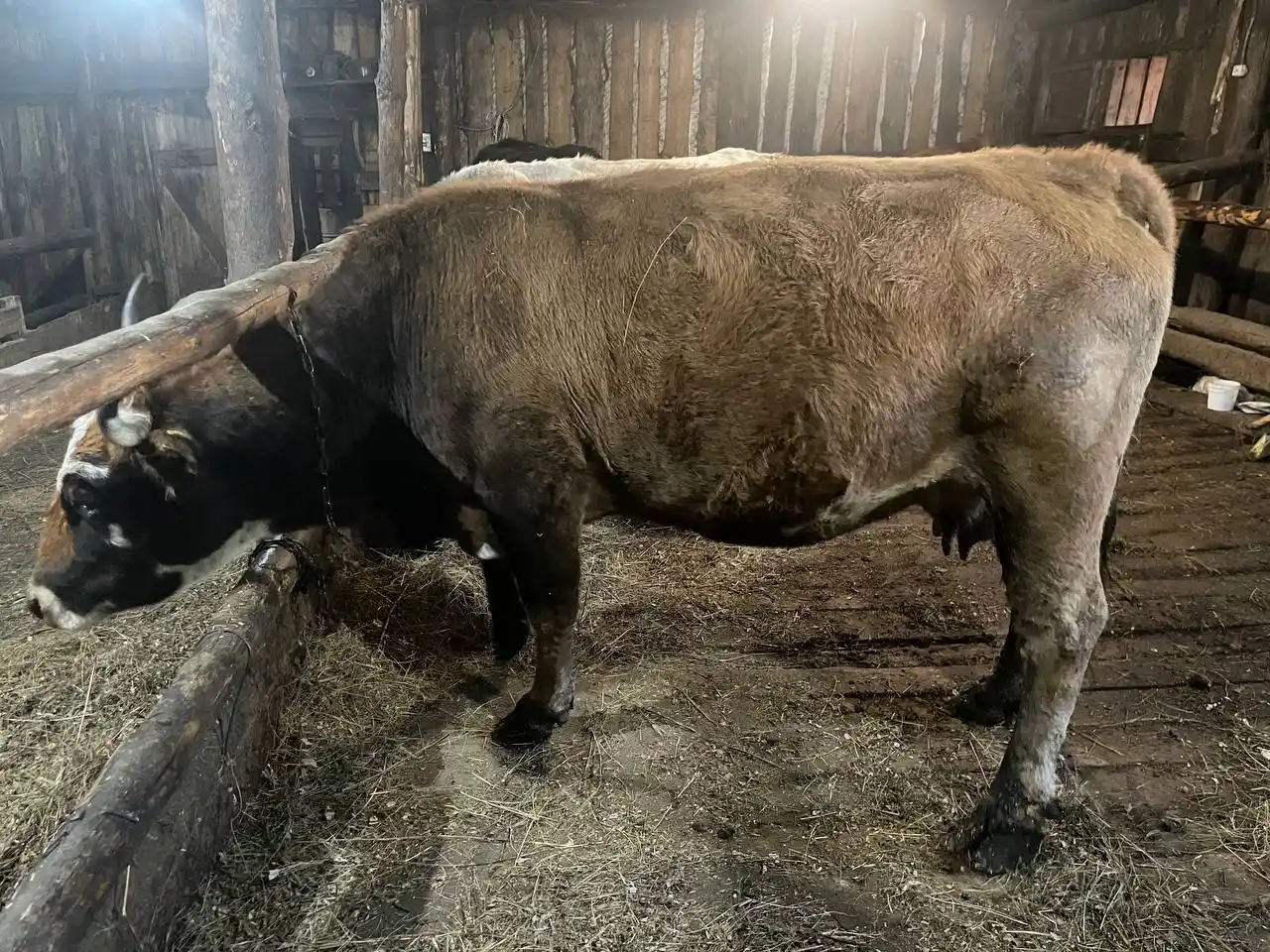 Продается обрак