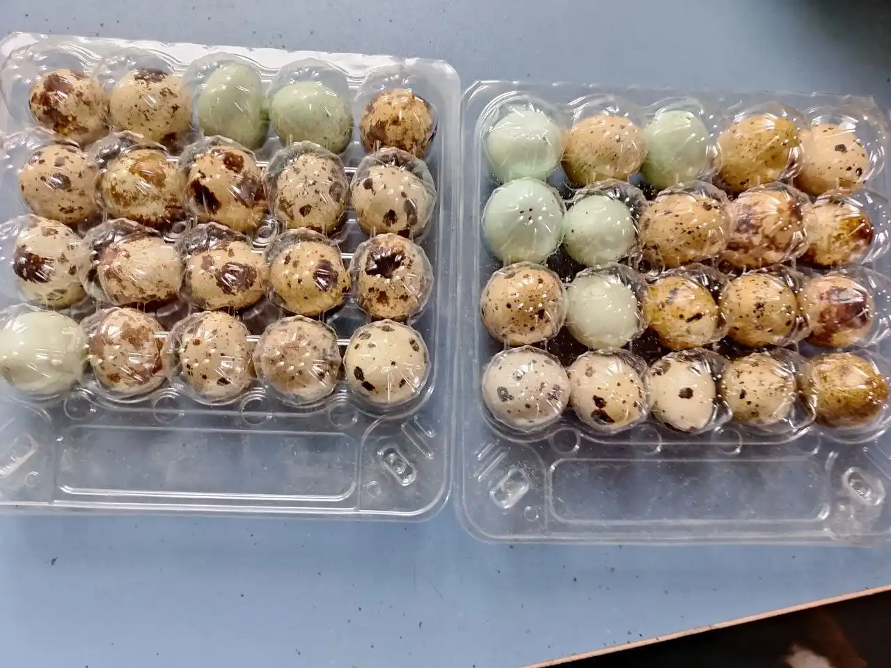 Перепелиные яйца домашние