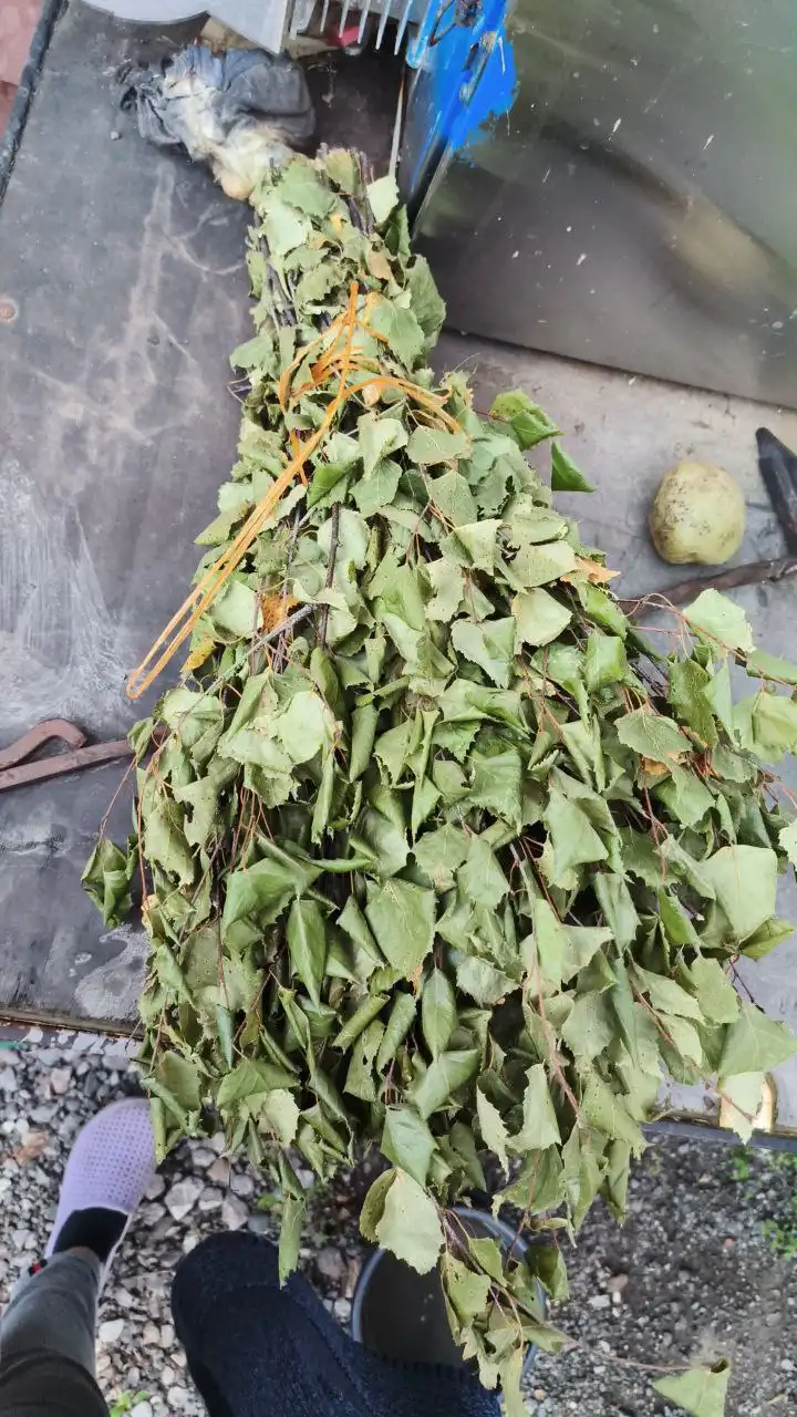 Продам веники березовые