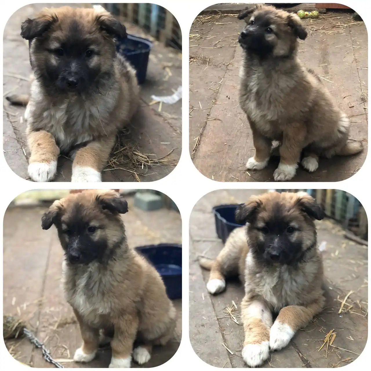 Мальчик 3 месяца