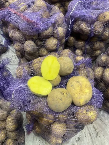 Продам картофель - частное объявление в Тюмень