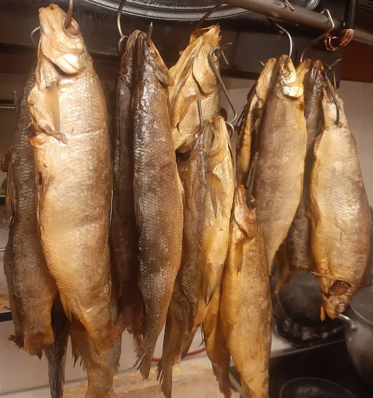 Продам сырок х/к