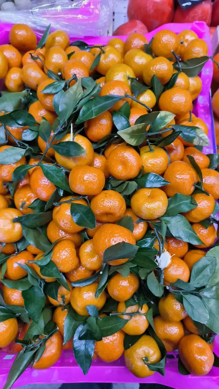 Продажа орехов в Боровском