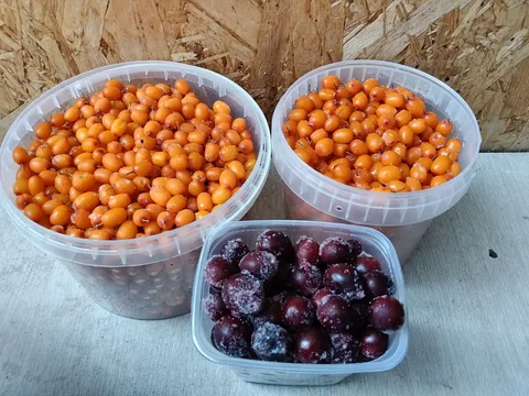 Два литра крупной облепихи со своей дачи - Разное в Тюмень