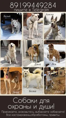 Продам Б/У товар в Тюмени - Холодильники в Тюмень