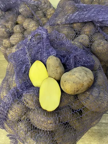 Продам картофель сетка 3 ведра - Удобрения в Тюмень