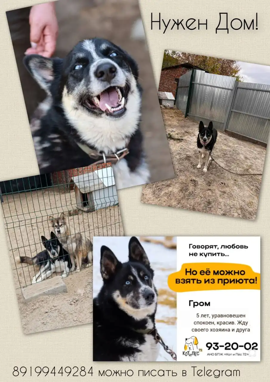 Продажа автомобиля Гром - Авто в Тюмень