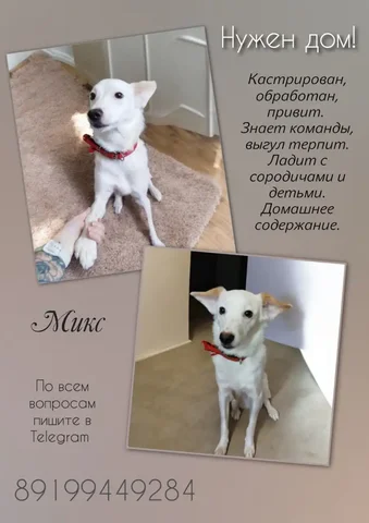 Объявление из Тюмени - Поиск людей в Тюмень