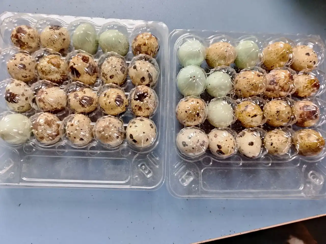 Перепелиные яйца домашние - Продукты питания (Барахолка) в Тюмень