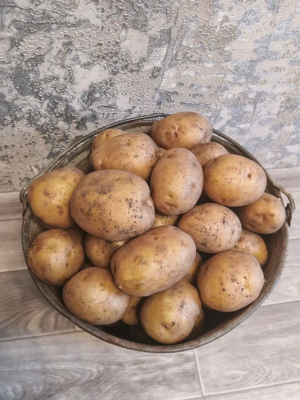 Продажа картофеля ведром 10л - Барахолка в Тюмень