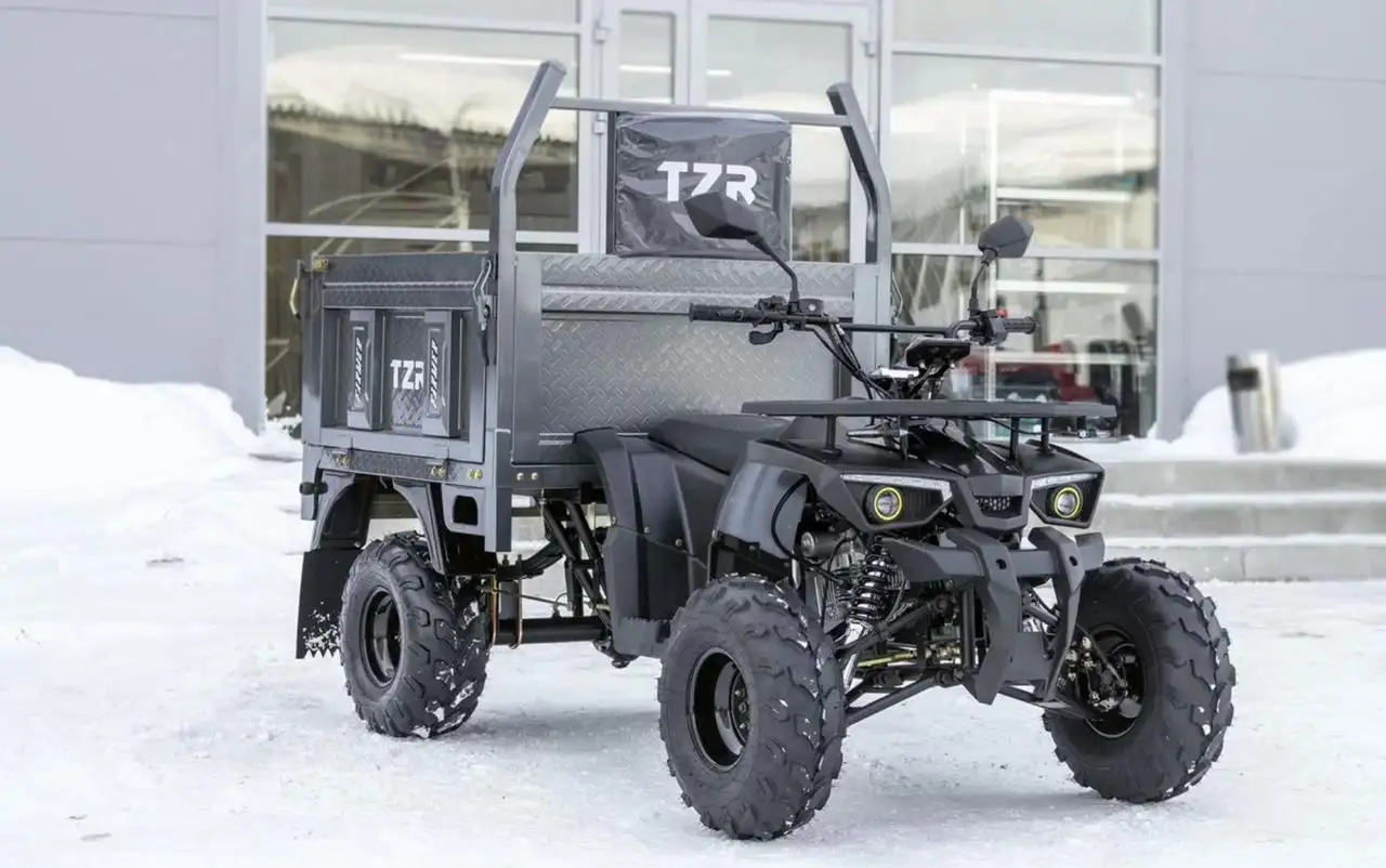 Новый грузовой квадроцикл Фермер TZR-0200 (2x4) - Товары для детей в Тюмень