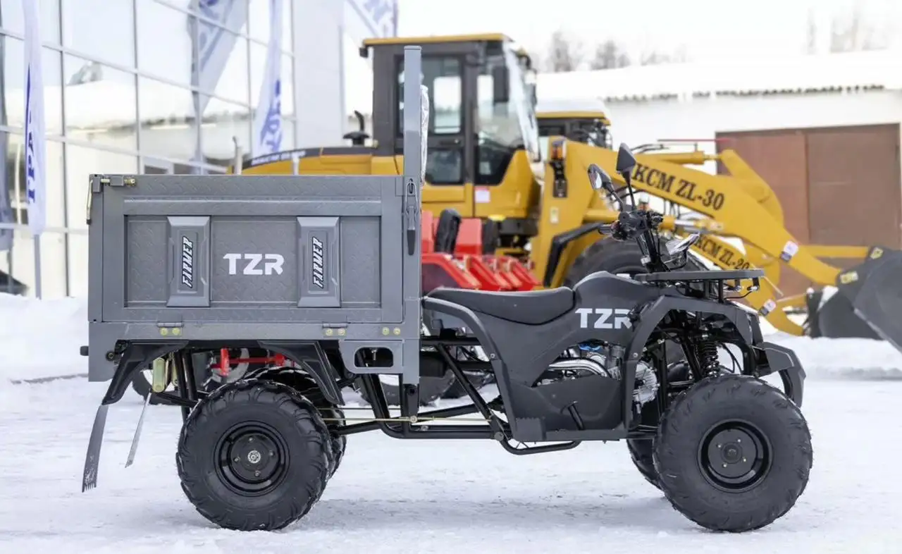 Новый грузовой квадроцикл Фермер TZR-0200 (2x4) - Товары для детей в Тюмень