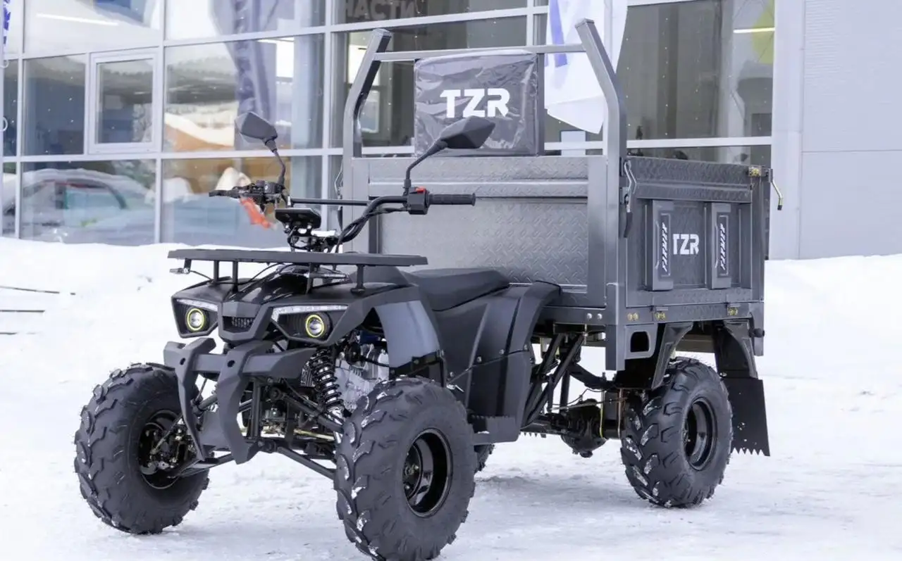 Новый грузовой квадроцикл Фермер TZR-0200 (2x4) - Товары для детей в Тюмень