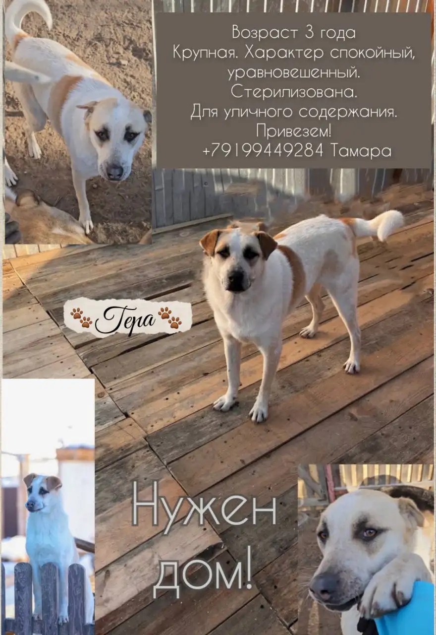 Объявление из Тюмени - Барахолка в Тюмень