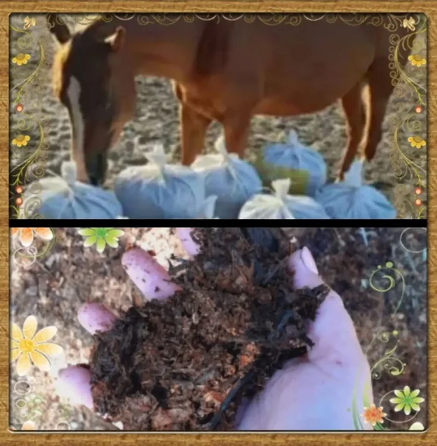 Конский перегной и опил для продажи - частное объявление в Ембаево