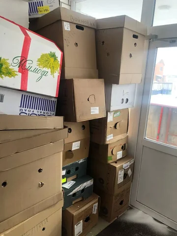Отдам коробки - Растения/Семена в Тюмень