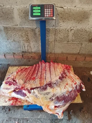 Продам телятину свежий забой халяль - Барахолка в Тюмень