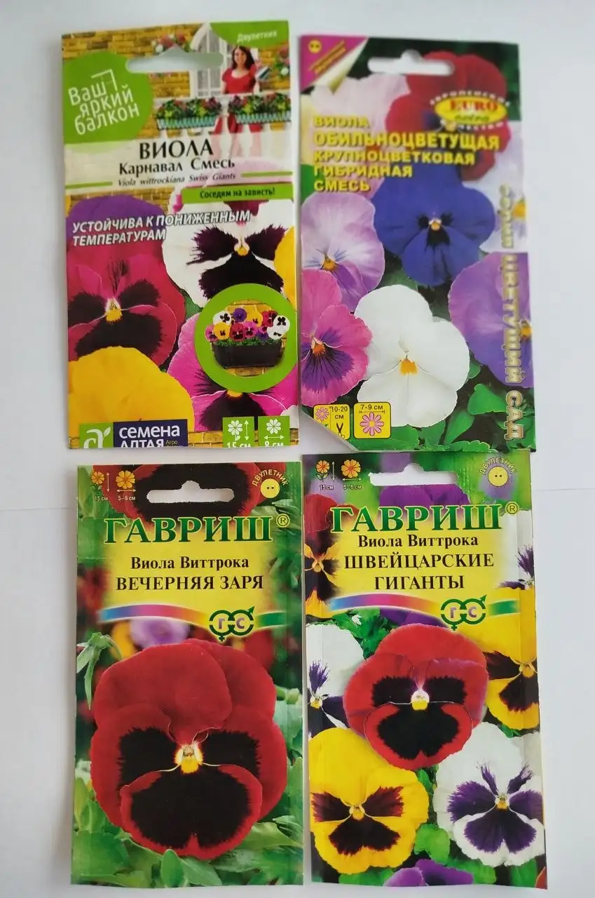 Продажа рассады виолы (анютины глазки) - Растения (Хобби и отдых) в Тюмень