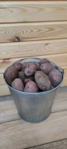 Продам деревенский картофель из ямки - Металлические емкости в Тюмень